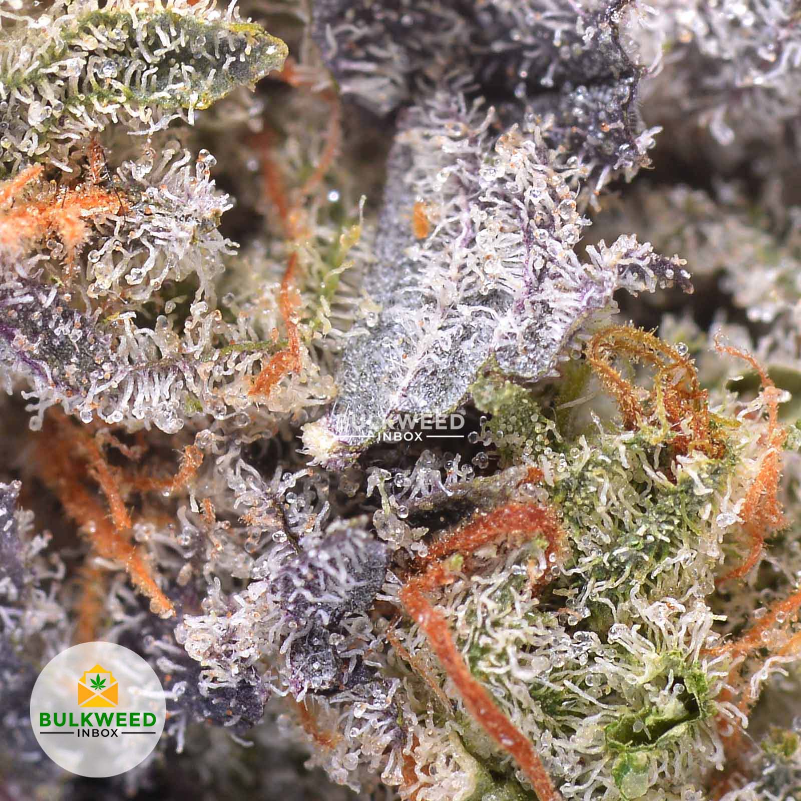 Durban Poison AAAA Buy Weed Online Online Dispensary