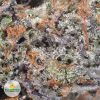 GRAPE-CANDY-cheap-weed3