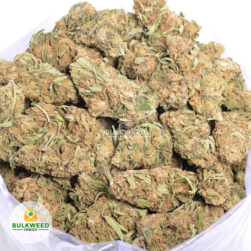 PINEAPPLE-EXPRESS-online-dispensary-canada-1