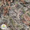 SUPREME-BLUEBERRY-OKANAGAN-RANCH-cheap-weed