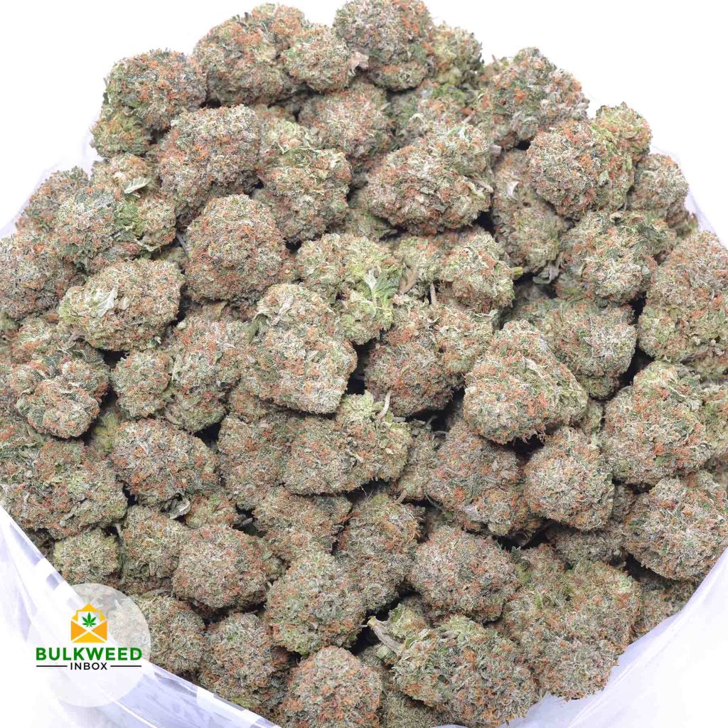 GASSY-PINK-online-dispensary-canada