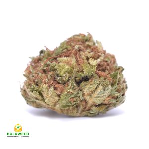 SOUR-MONKEY-BUDGET-BUD-POPCORN-cheap-weed-canada