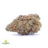 JACK-HERER-cheap-weed-canada