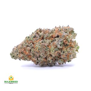 JACK-HERER-cheap-weed-canada
