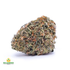 BLACK-CHERRY-PUNCH-cheap-weed-canada