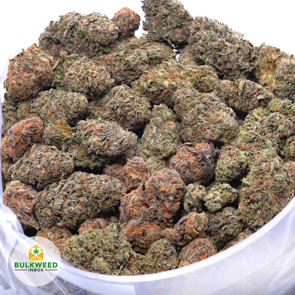 BLACK-CHERRY-PUNCH-online-dispensary-canada