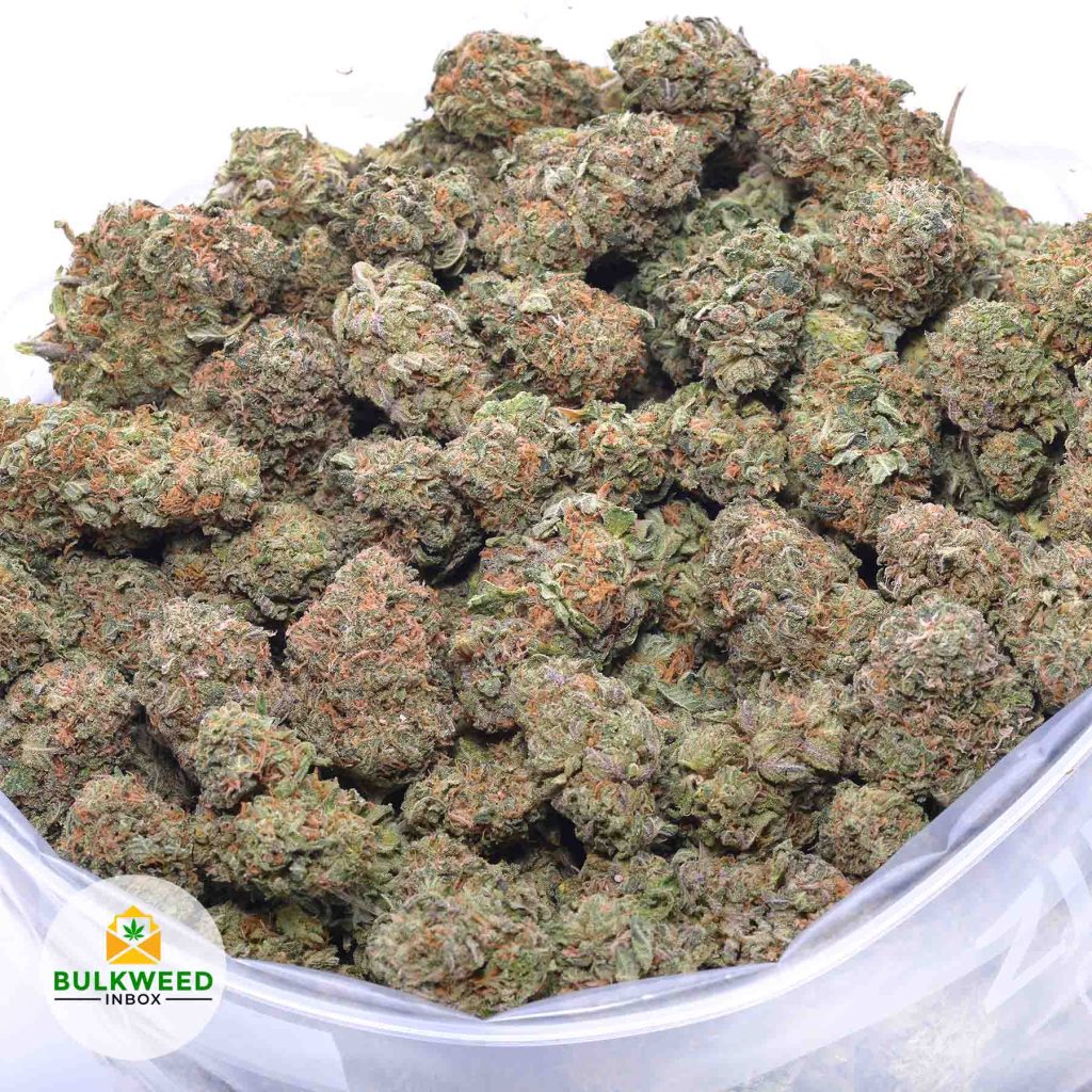COTTON-CANDY-KUSH-online-dispensary-canada
