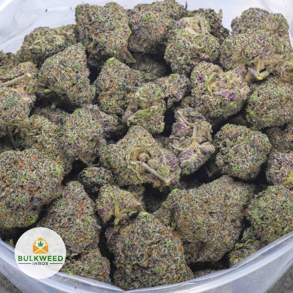GRAPE-CRUSHER-NELSON-FARM-CRAFT-AAAA