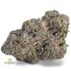 GRAPE-CRUSHER-NELSON-FARM-CRAFT-AAAA1