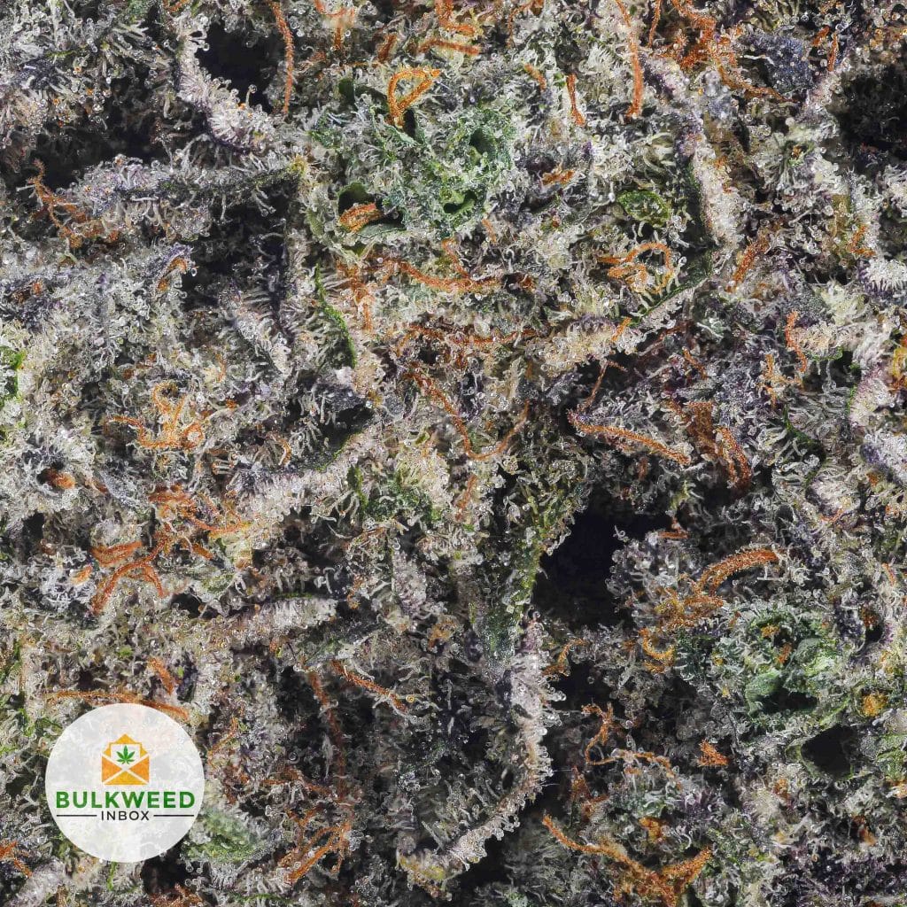 GRAPE-CRUSHER-NELSON-FARM-CRAFT-AAAA2