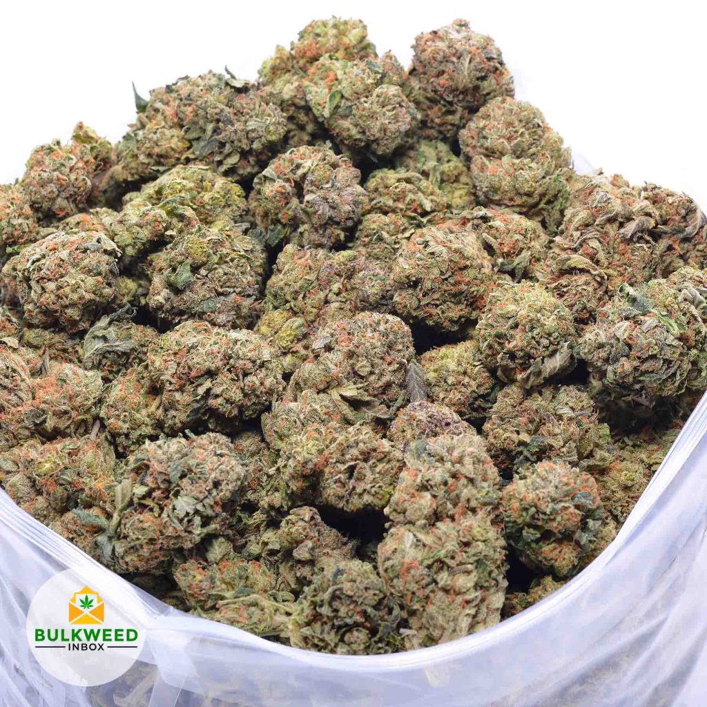 AFGHANI-PINK-online-dispensary-canada