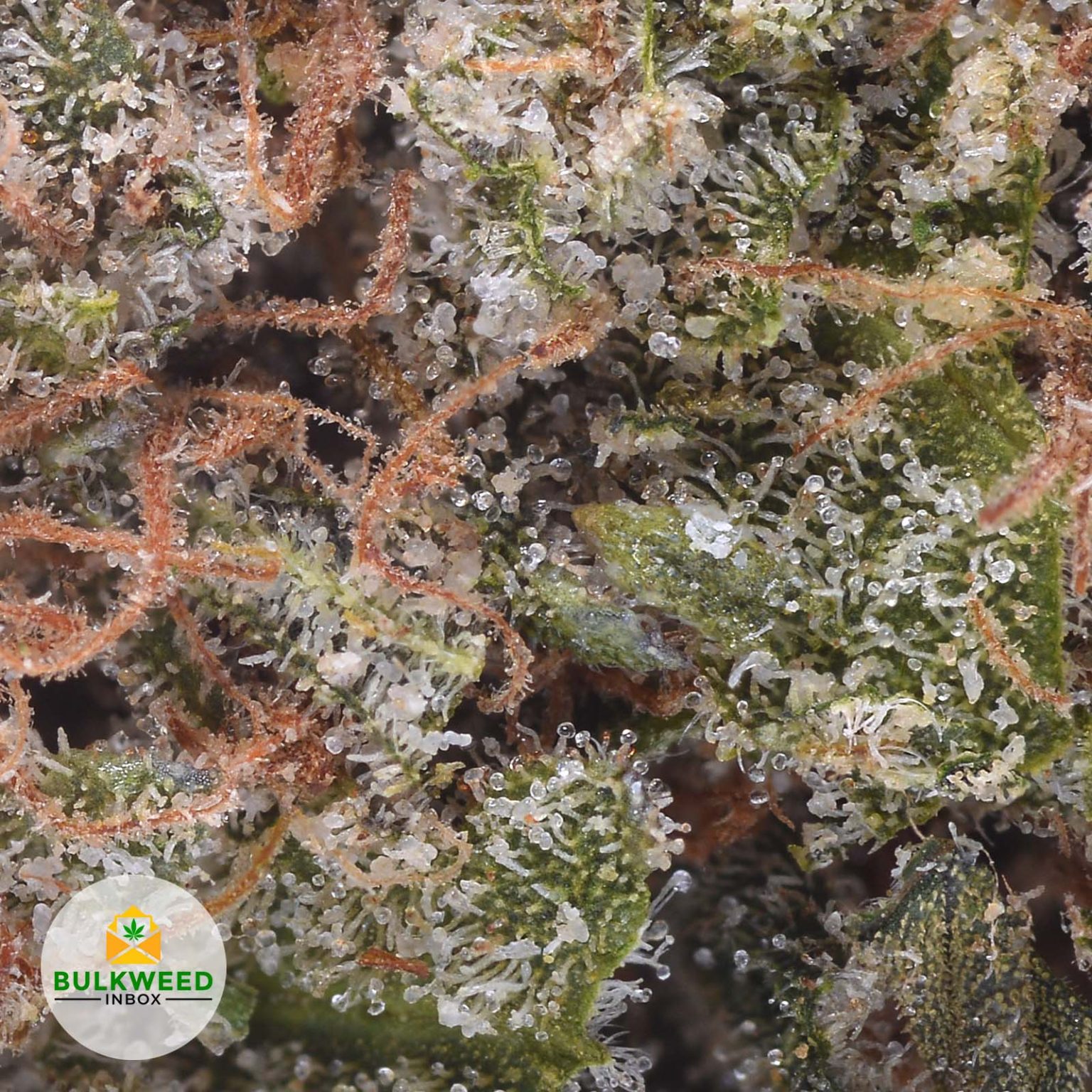 Durban Poison AAA+ Buy Weed Online Online Dispensary