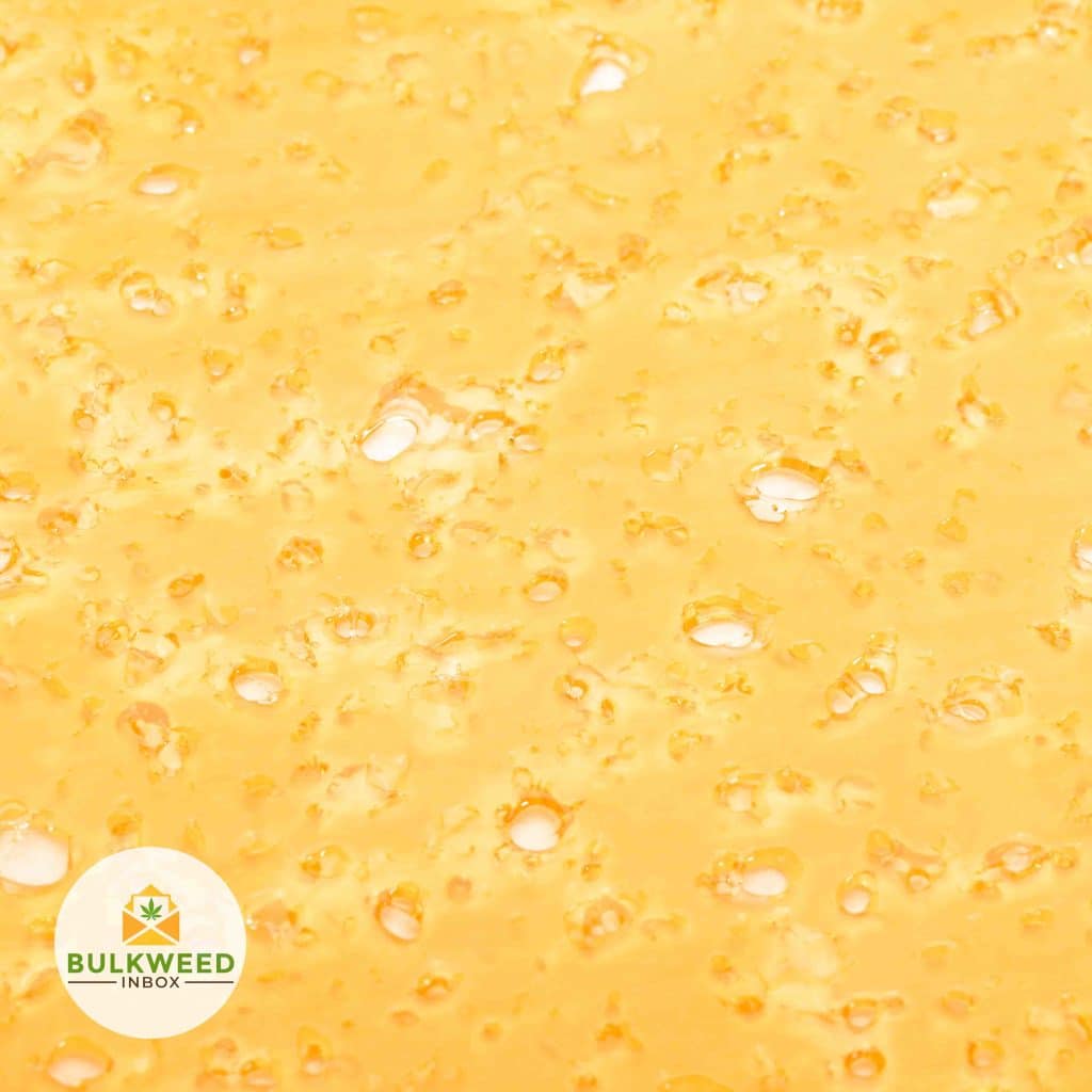 BLACKBERRY-KUSH-SHATTER