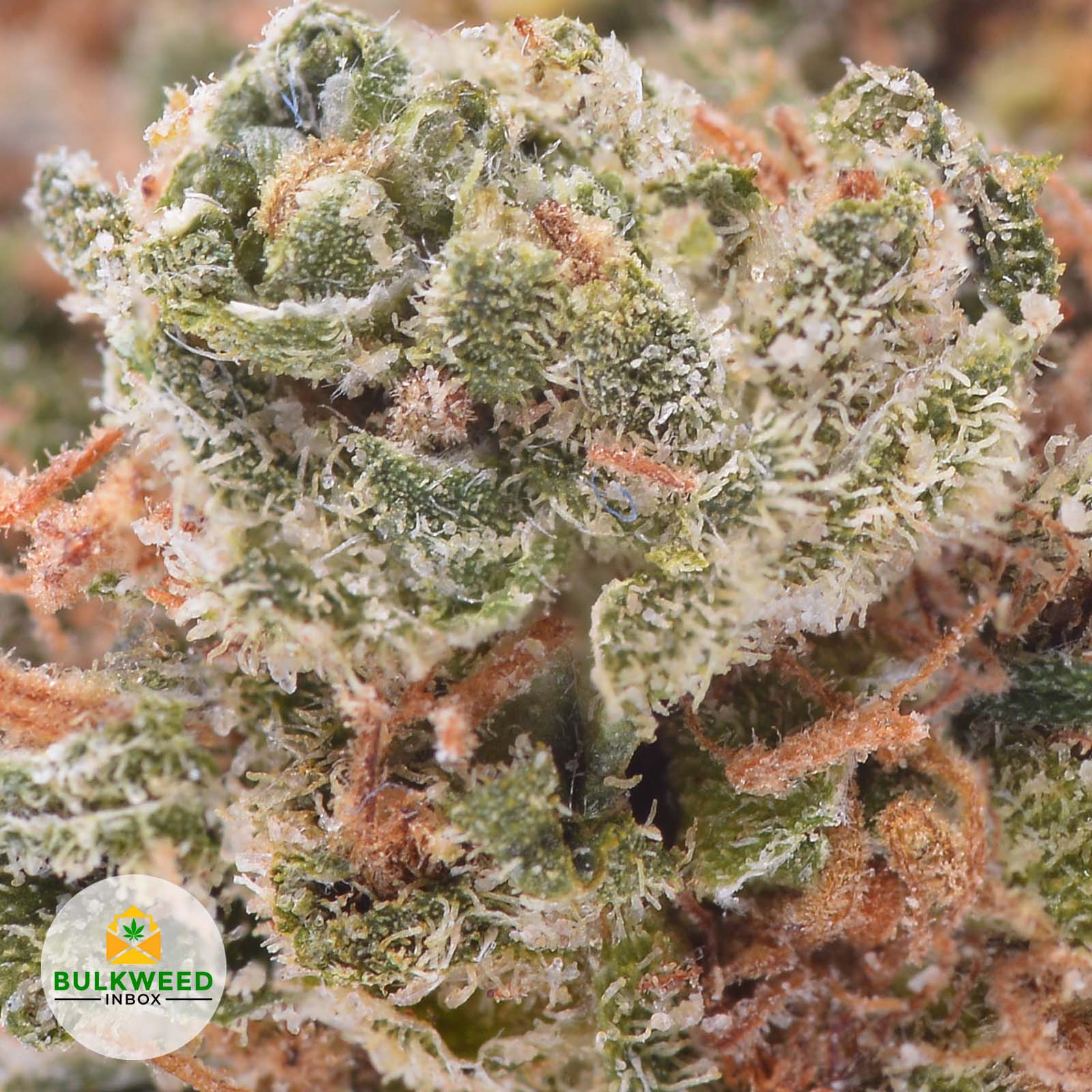 Durban Poison AAA Buy Weed Online Online Dispensary