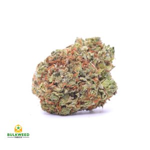 NORTHERN-BERRY-cheap-weed-canada