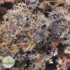 PURPLE-PUNCH-cheap-weed