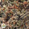 STRAWBERRY-LEMONADE-cheap-weed
