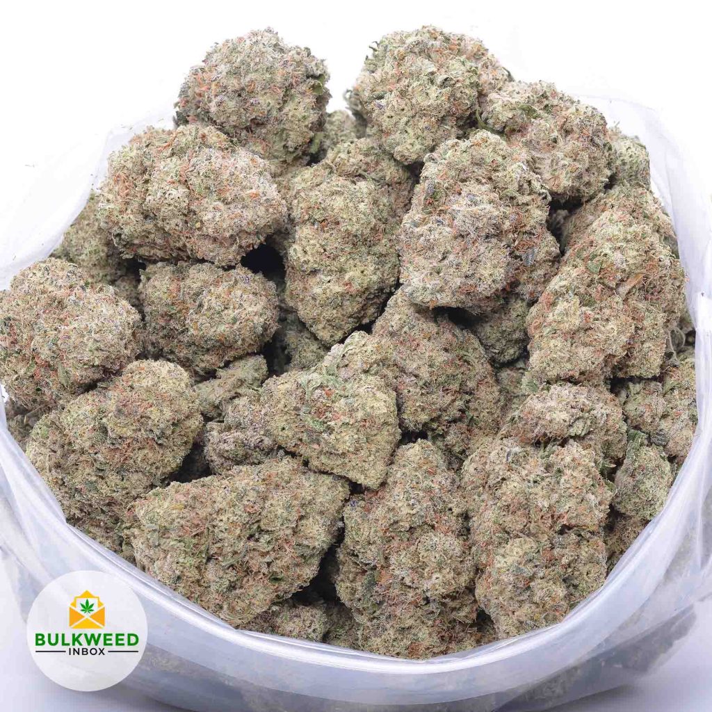 THE-TOAD-BY-MIKE-TYSON-TYSON-FARMS-CRAFT-online-dispensary-canada-1