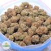 CANDYLAND-online-dispensary-canada