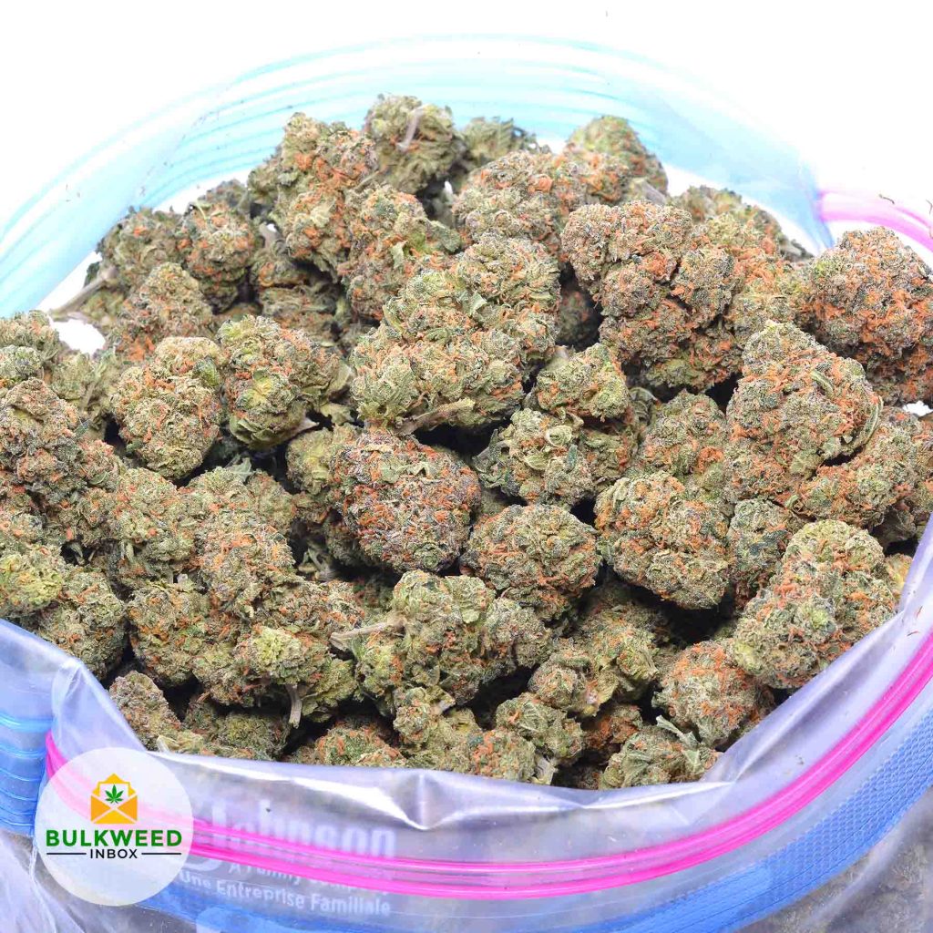 JACK-THE-RIPPER-online-dispensary-canada