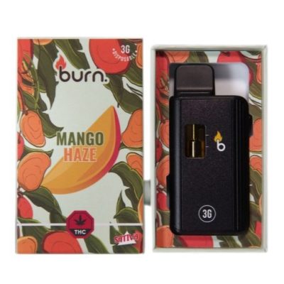 Burn - Mango Haze 3 Grams Disposable Vape | Buy Weed Online | Online ...