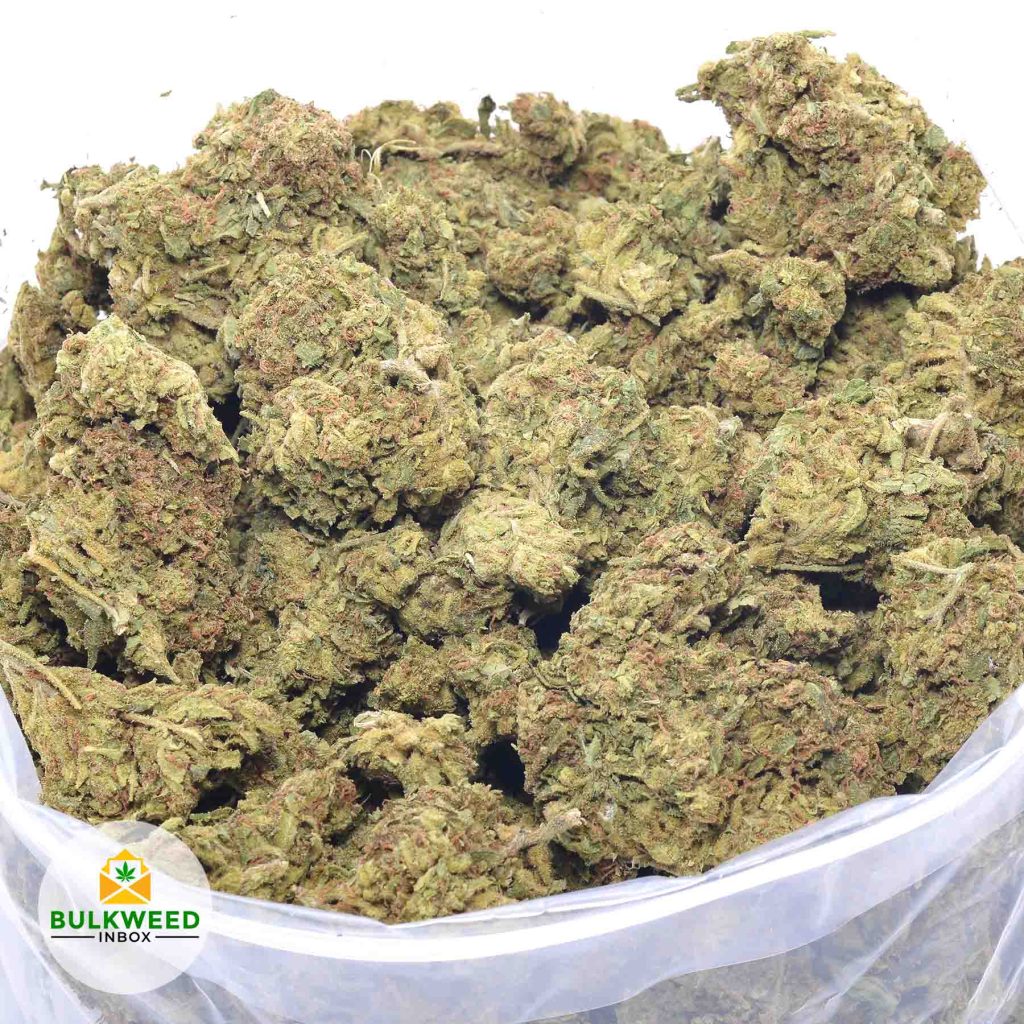 APRICOT-buy-weed-online