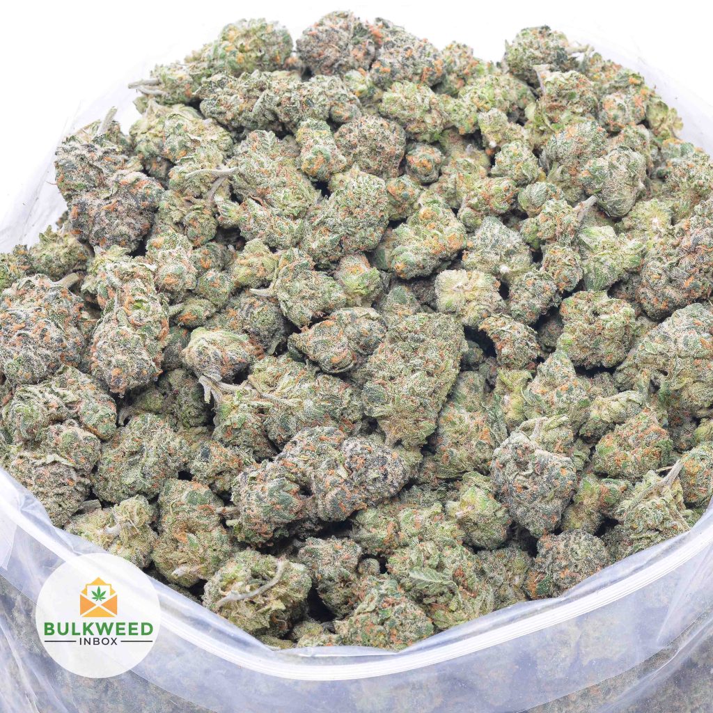 GOUDABERRY-AAA-POPCORN-buy-weed-online