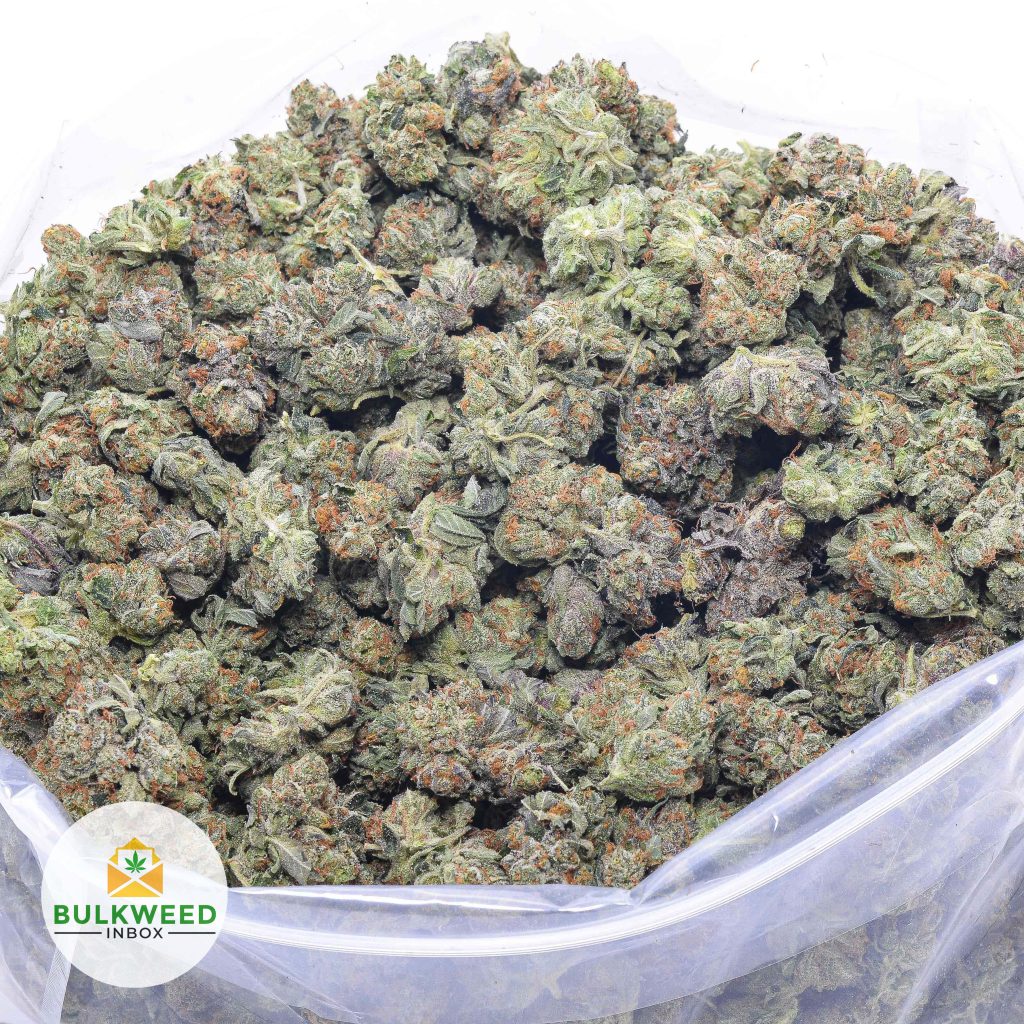 GUCCI-PINK-AAA-POPCORN-online-dispensary-canada