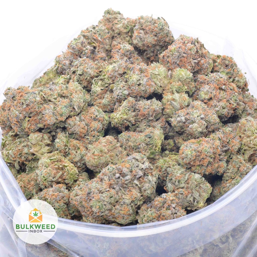 NORTHERN-LIGHTS-online-dispensary-canada