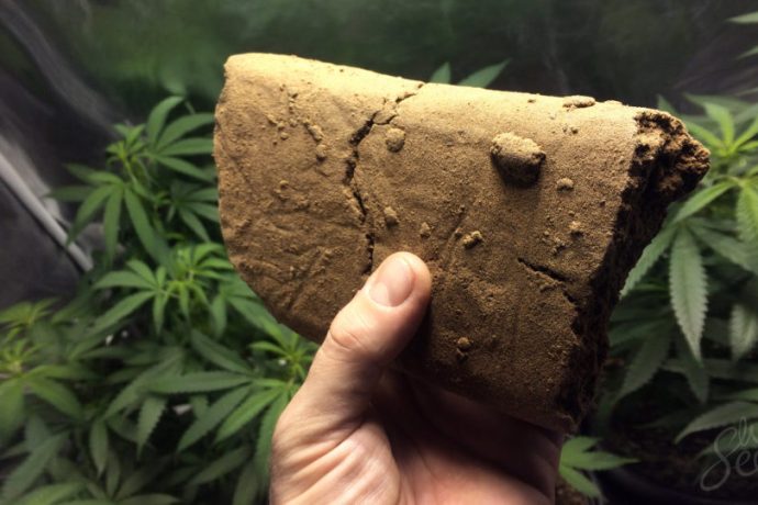 what is hash and how to smoke it?