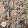 AFGHANI-BULLRIDER-cheap-weed-2