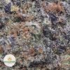 BLUEBERRY-GAS-NELSON-CRAFT-GROWERS-cheap-weed-2