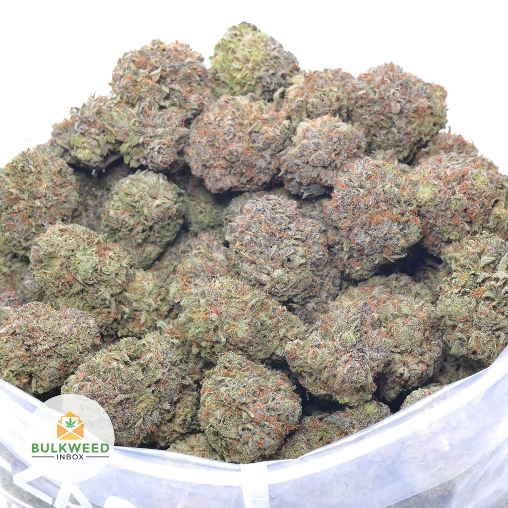 BLUEBERRY-MINT-online-dispensary-canada