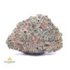 BLUEBERRY-ROCKSTAR-SPACE-CRAFT-cheap-weed-canada-2-1