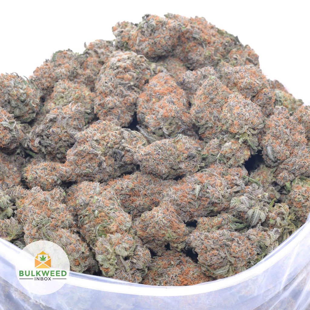 DEATH-BERRY-online-dispensary-canada-2