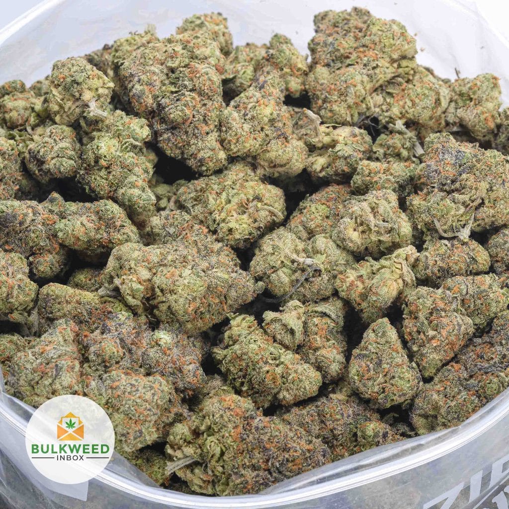 PINEAPPLE-PUNCH-BBAAA-2