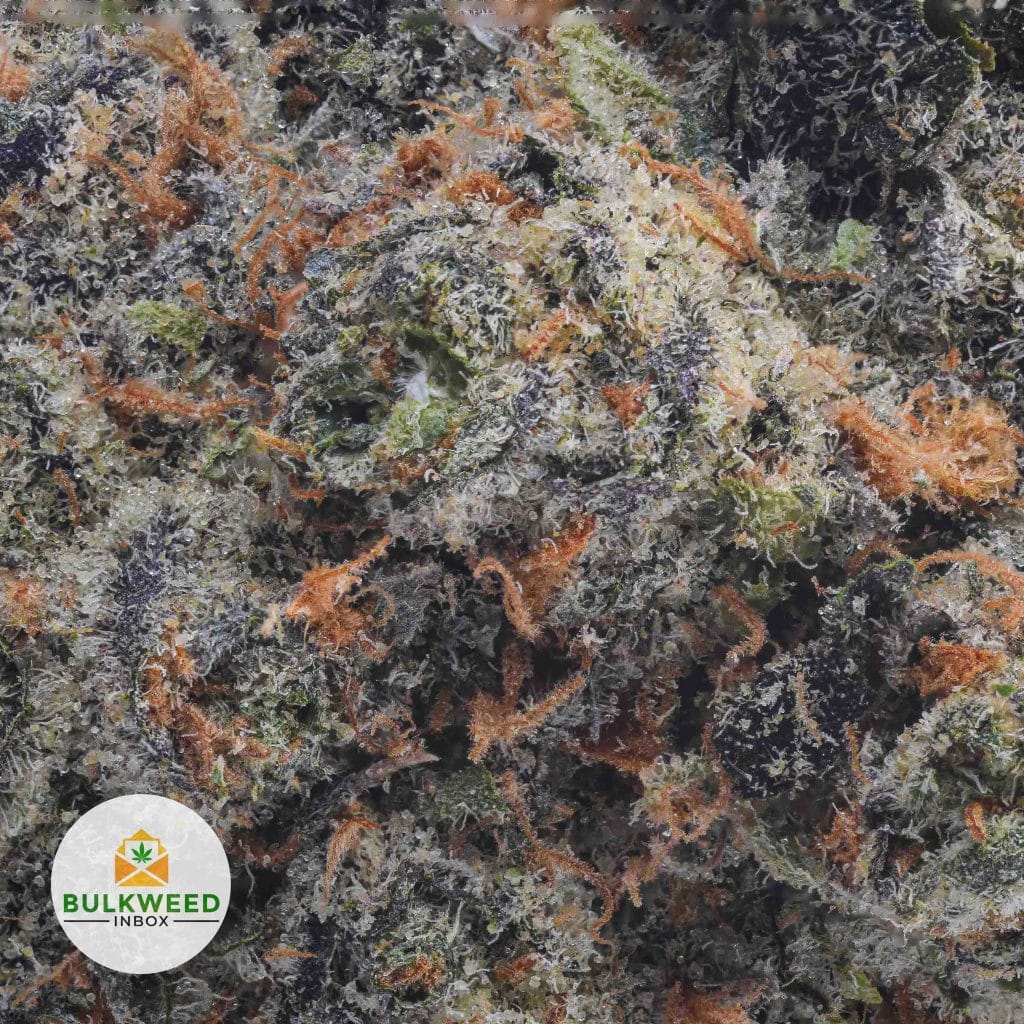 PINEAPPLE-PUNCH-BBAAA2-2