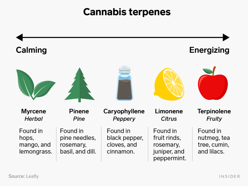 what are terpenes? terpenes chart
