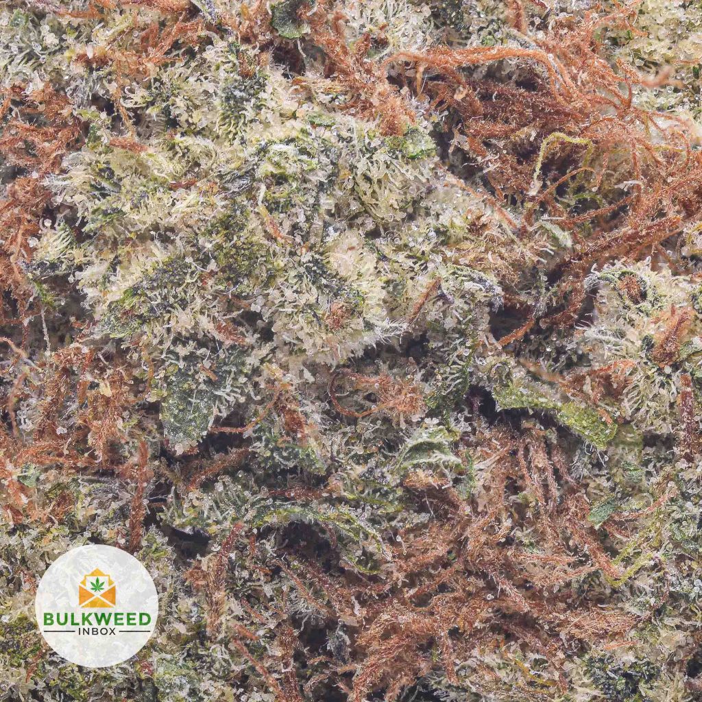 BERRY-WHITE-cheap-weed-2