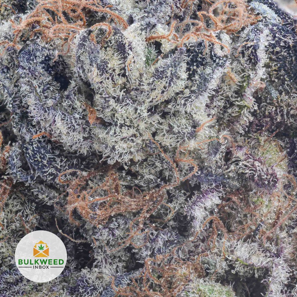 GRAPE-CANDY-cheap-weed-2