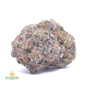 GUCCI-PINK-SPACE-CRAFT-cheap-weed-canada-2