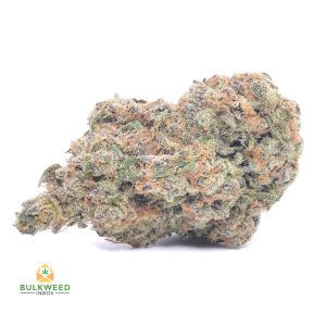 JACK-HERER-cheap-weed-canada-2