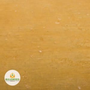 LIT-EXTRACTS-ALASKAN-ICE-SHATTER