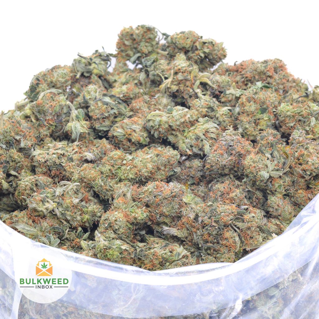 PINK-GAS-online-dispensary-canada