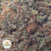 STRAWBERRIES-AND-CREAM-cheap-weed-2