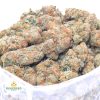 WHITE-APRICOT-online-dispensary-canada