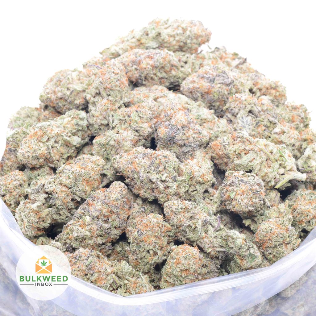 BLUEBERRY-CHEESECAKE-online-dispensary-canada