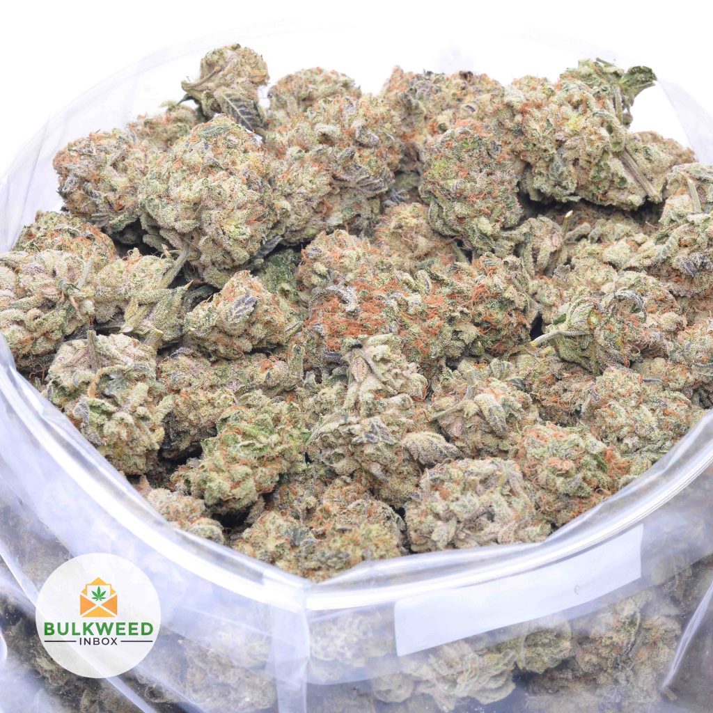 BLUEBERRY-COOKIES-online-dispensary-canada