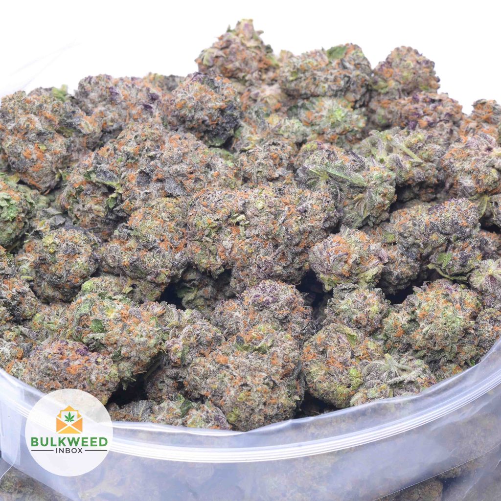 BLUEBERRY-KUSH-SPACE-CRAFT-online-dispensary-canada