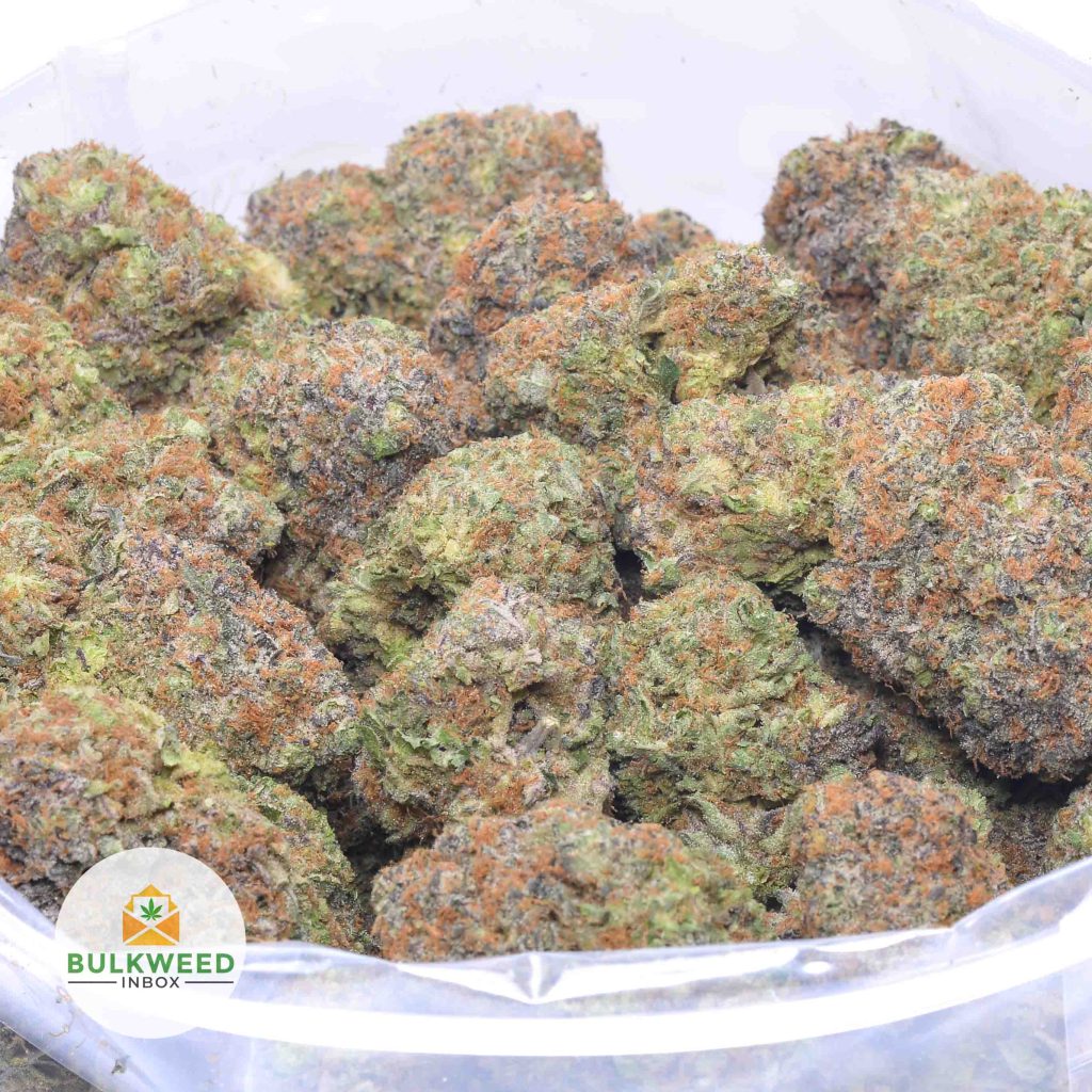 BLUEBERRY-PUNCH-online-dispensary-canada